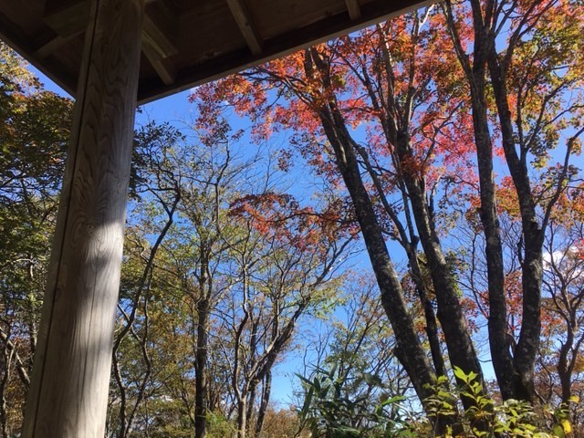 f:id:shikicaze:20191023113825j:plain f:id:shikicaze:20191023113825j:plain
