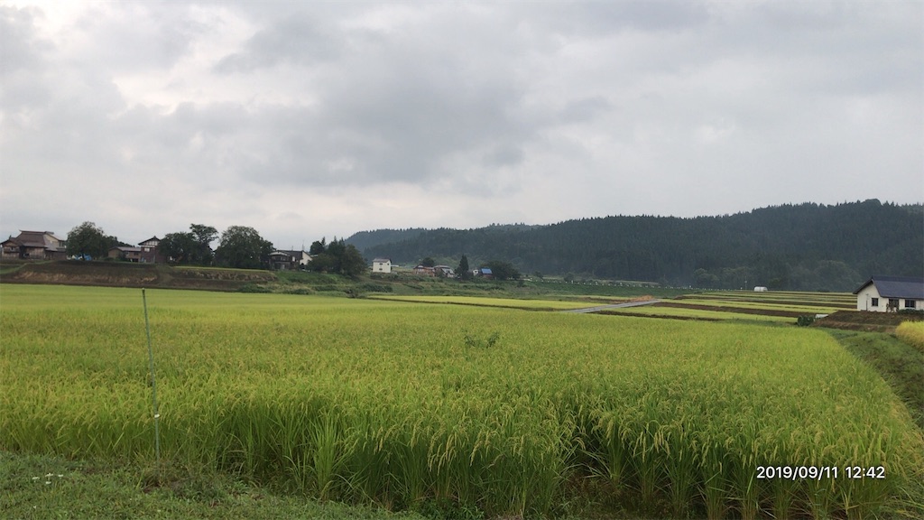 f:id:shikigami0424:20190911192456j:image f:id:shikigami0424:20190911192456j:image