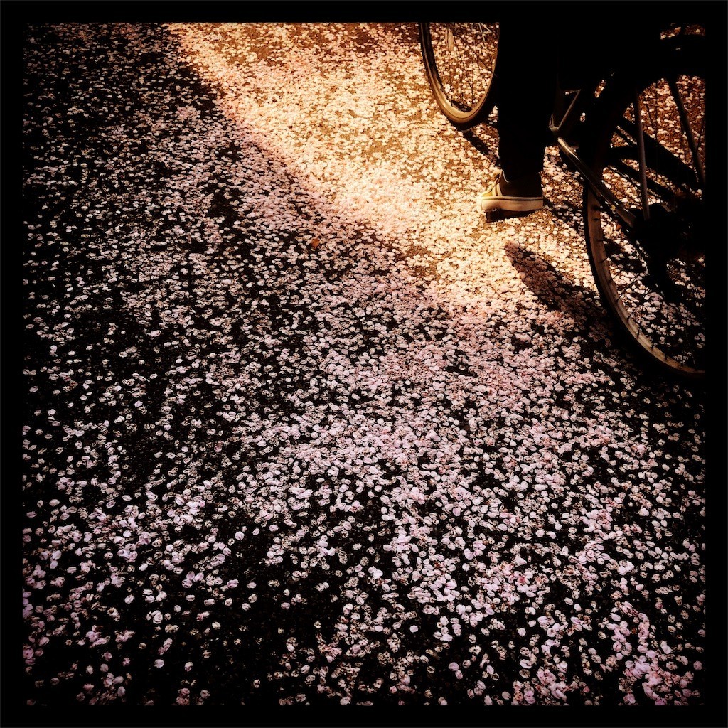 f:id:shikihan:20180331000048j:image f:id:shikihan:20180331000048j:image