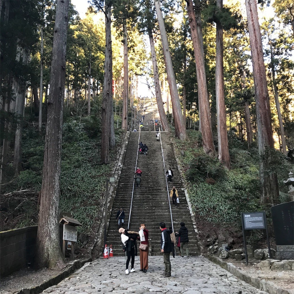 f:id:shikihan:20190106201920j:image f:id:shikihan:20190106201920j:image