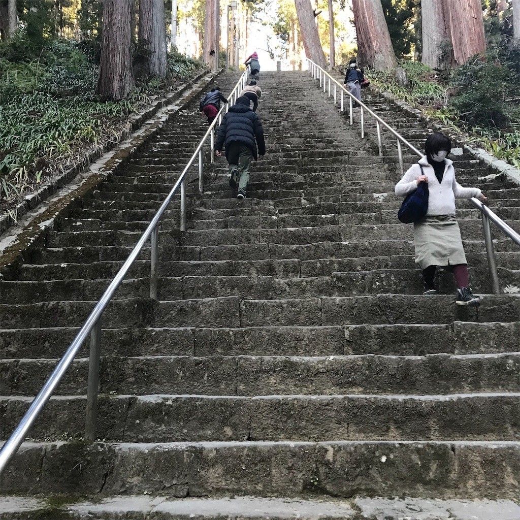 f:id:shikihan:20190106201937j:image f:id:shikihan:20190106201937j:image
