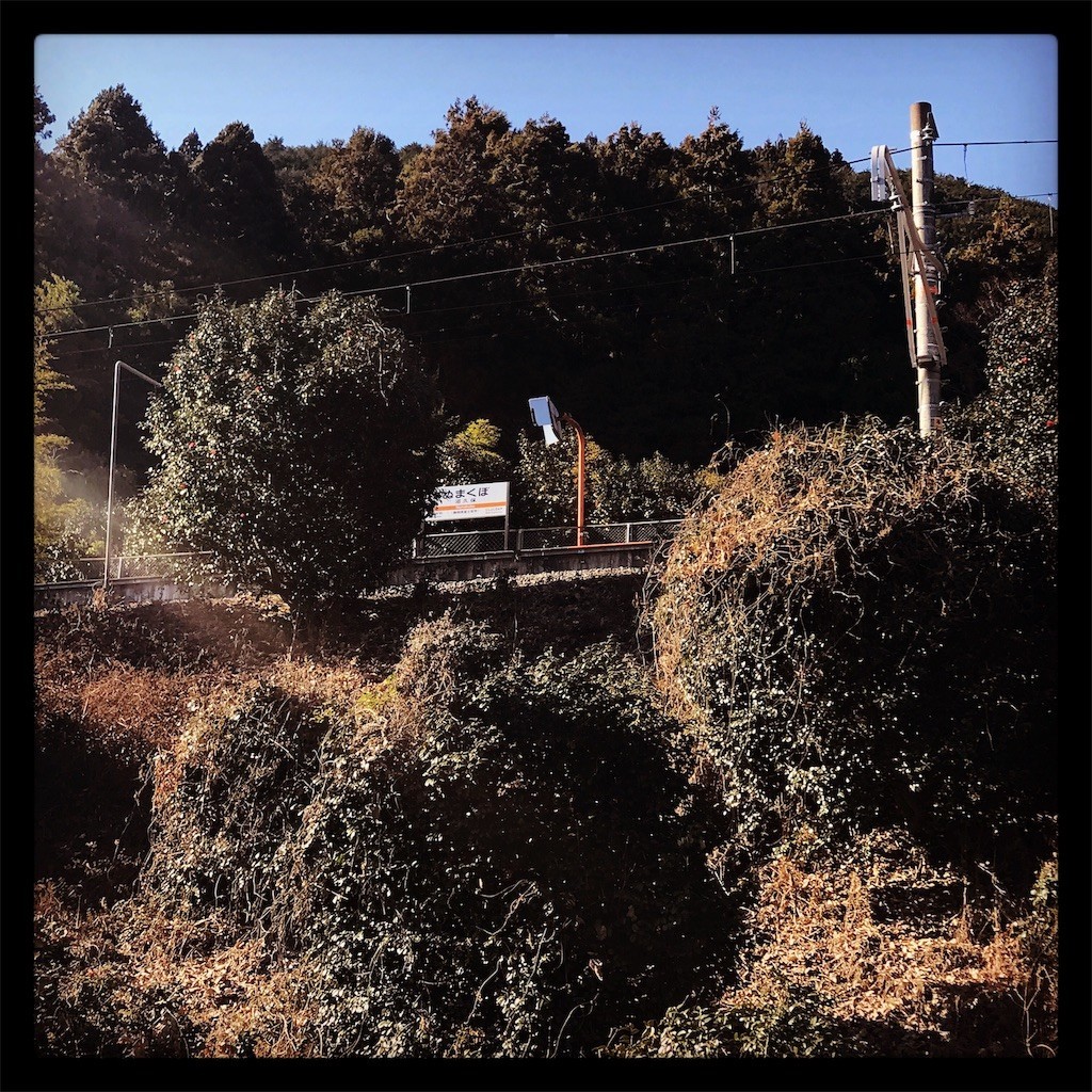 f:id:shikihan:20190106201952j:image f:id:shikihan:20190106201952j:image