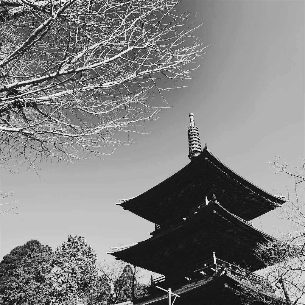 f:id:shikihan:20220108135516j:image