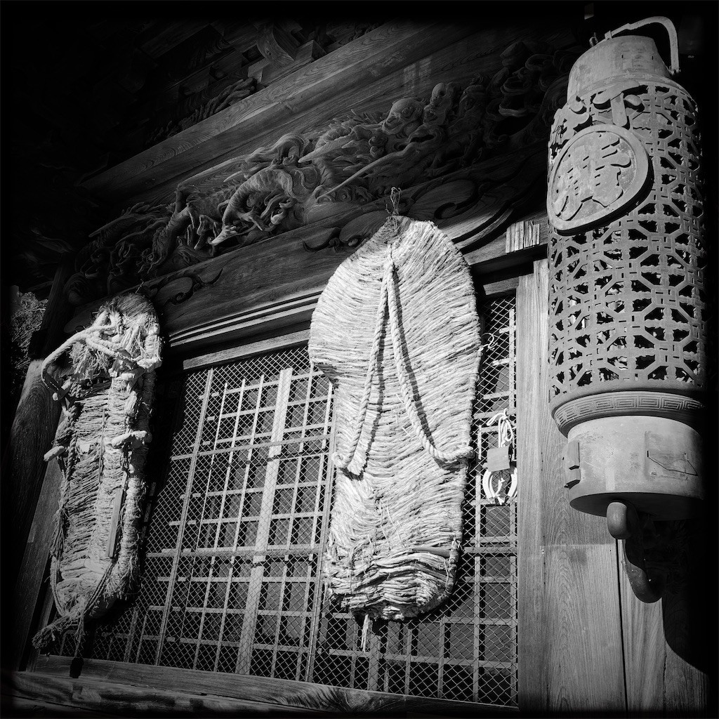 f:id:shikihan:20220108135547j:image