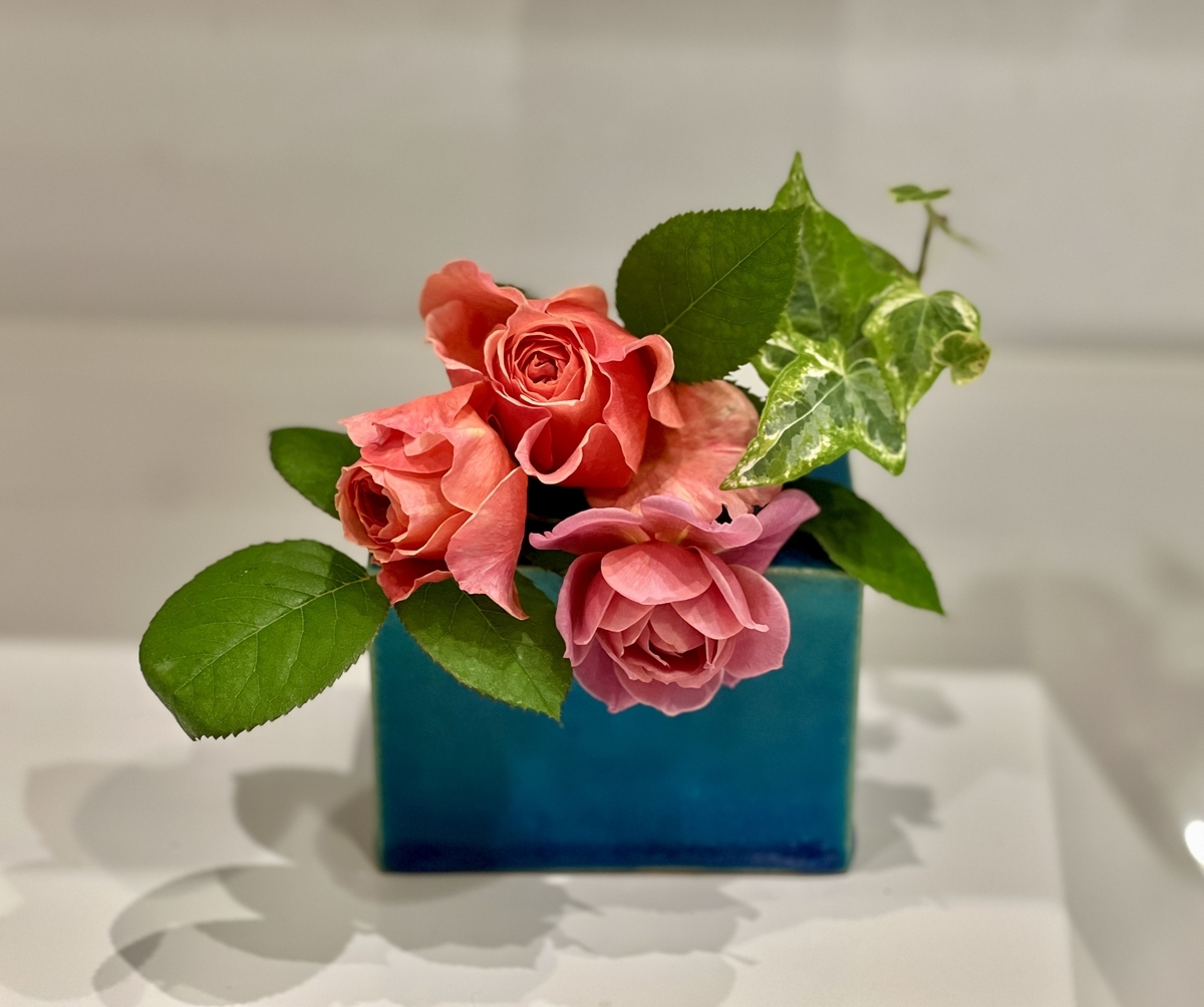 6月のバラとクレマチス② 二番花が次々に🌱 - 四季に暮らす