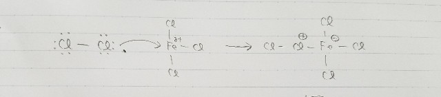 f:id:shikinu:20180607121100j:image