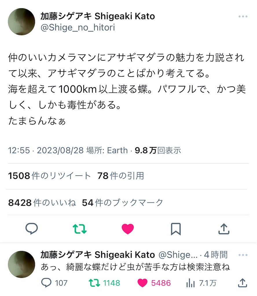 f:id:shikishaa:20230828224353j:image