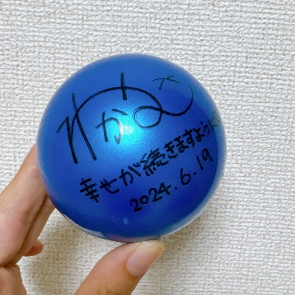 f:id:shikishaa:20240621150947j:image