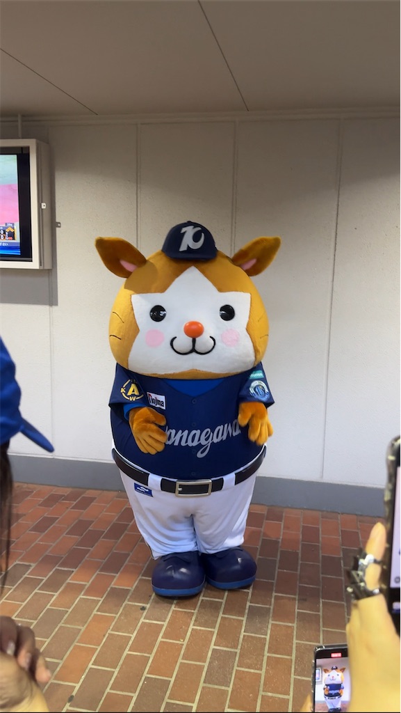 f:id:shikishaa:20240730121446j:image