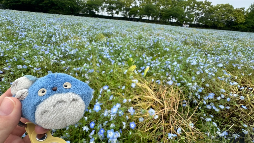 f:id:shikishaa:20250530071714j:image f:id:shikishaa:20250530071714j:image