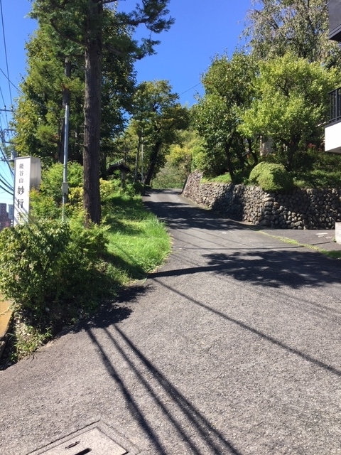 f:id:shikishige:20181007073728j:plain f:id:shikishige:20181007073728j:plain