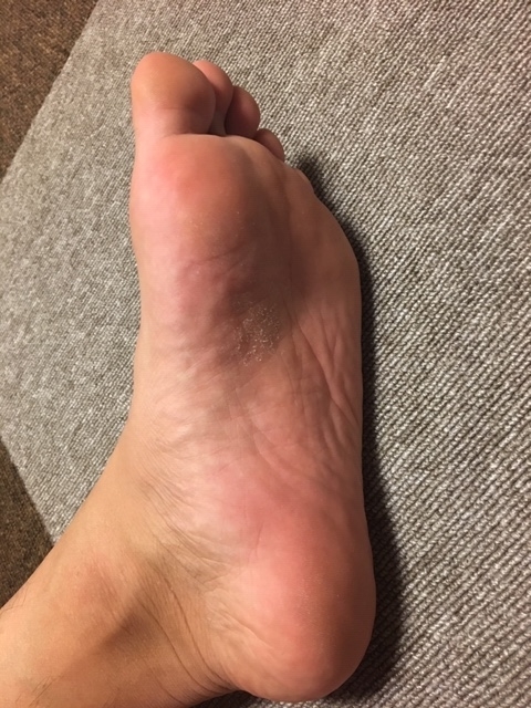 f:id:shikishige:20181022200724j:plain f:id:shikishige:20181022200724j:plain