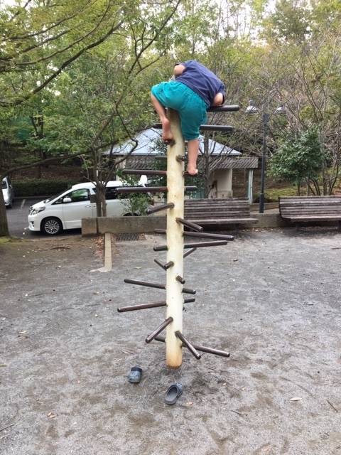 f:id:shikishige:20181028162045j:plain f:id:shikishige:20181028162045j:plain