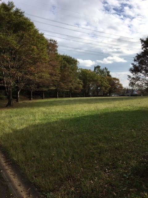 f:id:shikishige:20181028162140j:plain f:id:shikishige:20181028162140j:plain
