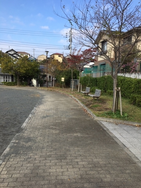 f:id:shikishige:20181124162211j:plain f:id:shikishige:20181124162211j:plain