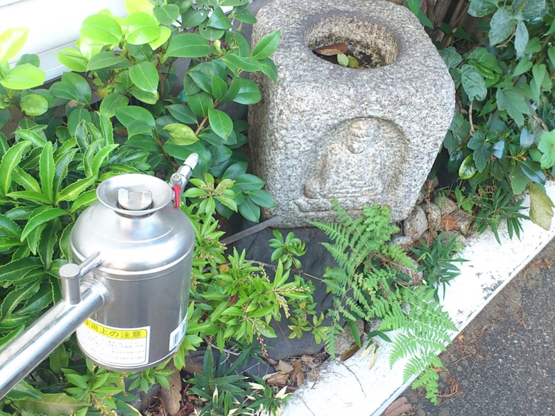f:id:shikitei:20121010073241j:image:w360:left f:id:shikitei:20121010073241j:image:w360:left