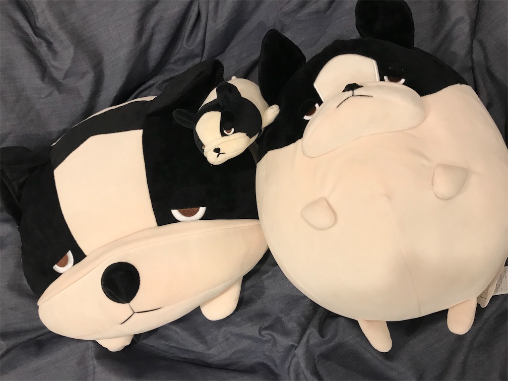 f:id:shikix:20180410155104j:image f:id:shikix:20180410155104j:image