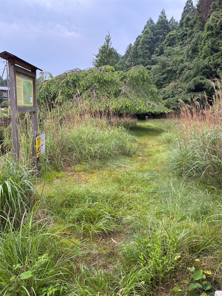 f:id:shikokuohenro30:20260706120623j:image f:id:shikokuohenro30:20260706120623j:image