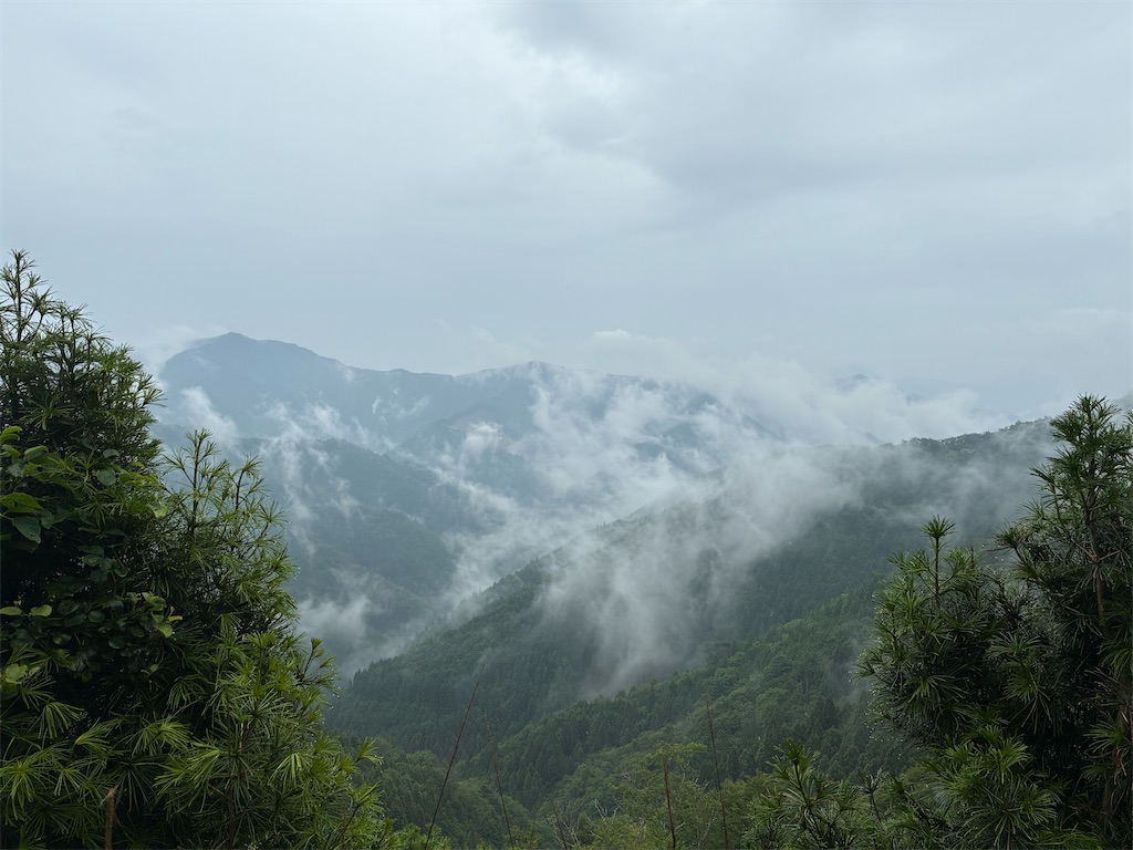f:id:shikokuohenro30:20260706122258j:image f:id:shikokuohenro30:20260706122258j:image