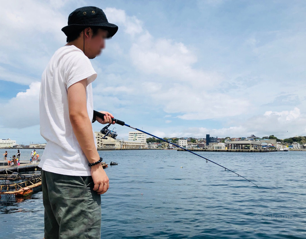 f:id:shikokutokyo:20180908021412j:plain f:id:shikokutokyo:20180908021412j:plain