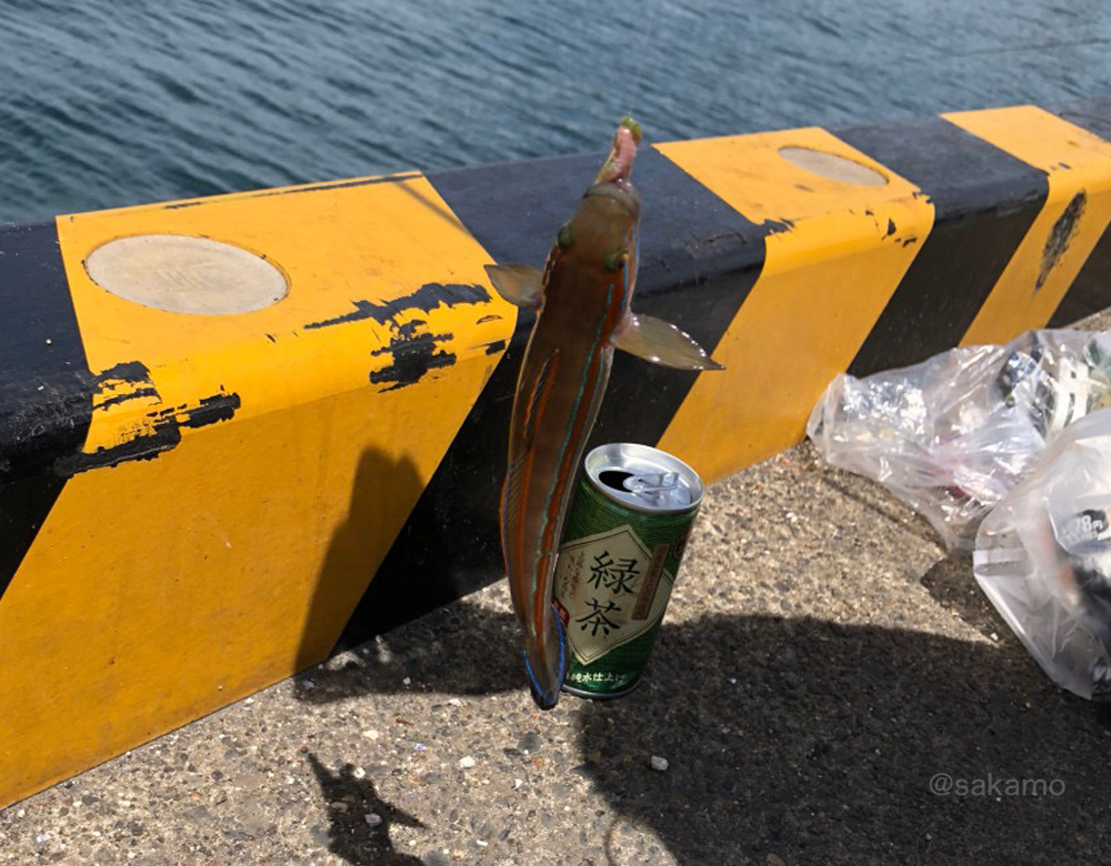 f:id:shikokutokyo:20180908021601j:plain f:id:shikokutokyo:20180908021601j:plain