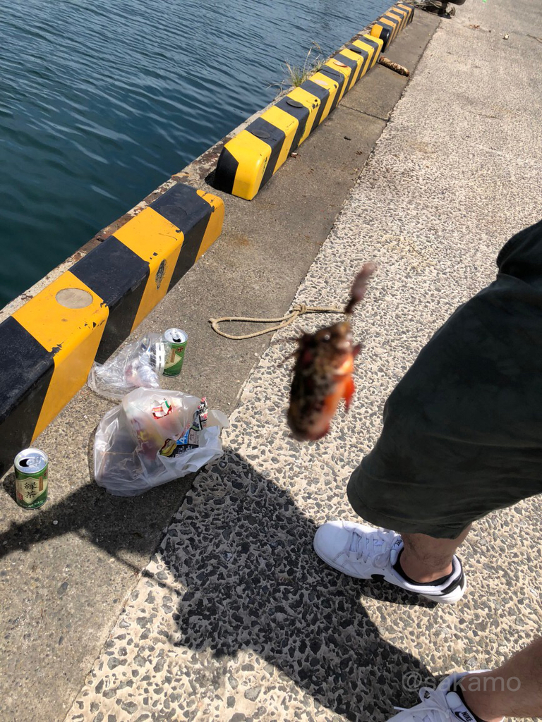 f:id:shikokutokyo:20180908021752j:plain f:id:shikokutokyo:20180908021752j:plain