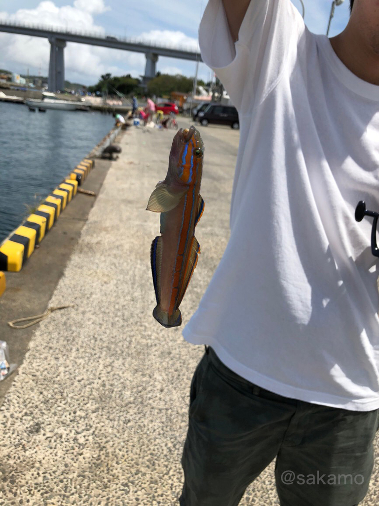 f:id:shikokutokyo:20180908021958j:plain f:id:shikokutokyo:20180908021958j:plain