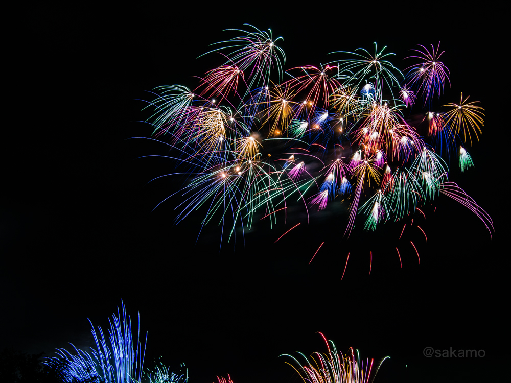 f:id:shikokutokyo:20181104181915j:plain f:id:shikokutokyo:20181104181915j:plain