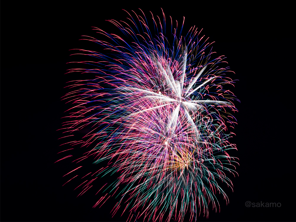 f:id:shikokutokyo:20181104183905j:plain f:id:shikokutokyo:20181104183905j:plain