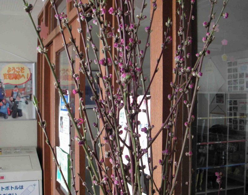 f:id:shikotsukosyo:20130312095443j:image:w360