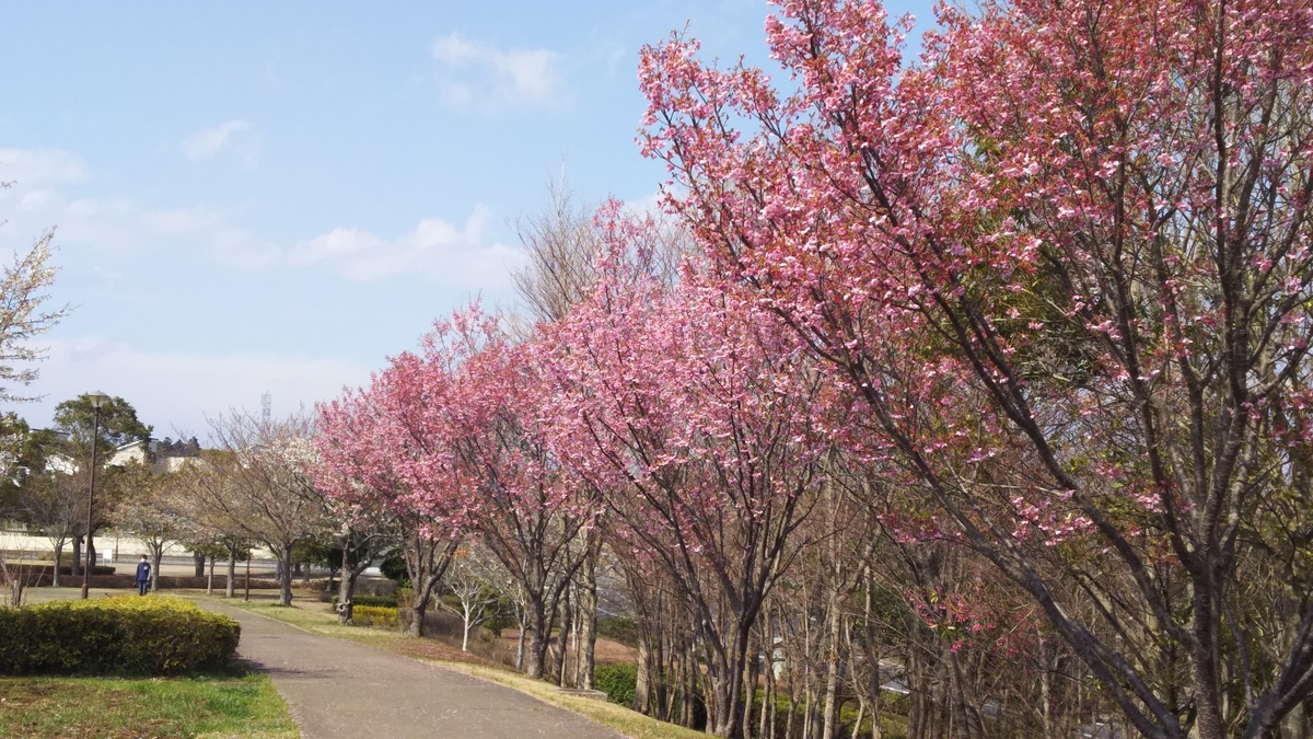 f:id:shima-1414:20190401101704j:plain f:id:shima-1414:20190401101704j:plain