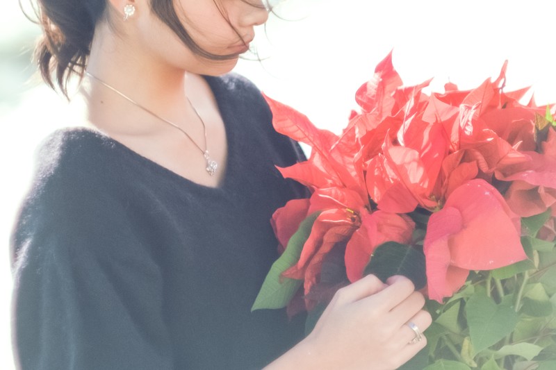 f:id:shima-2:20180109112801j:plain f:id:shima-2:20180109112801j:plain