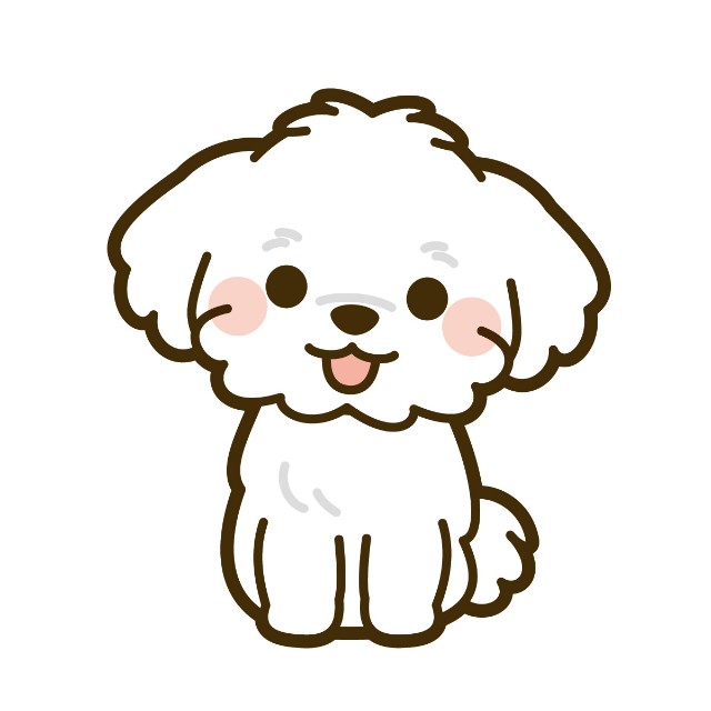 f:id:shima-cci:20251015231423j:image