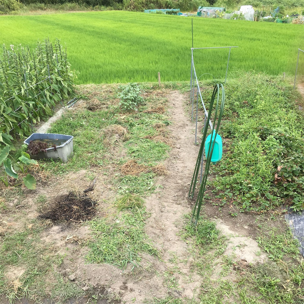 f:id:shima-shimachan:20190818064413j:image f:id:shima-shimachan:20190818064413j:image