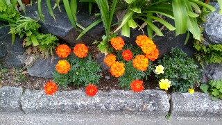 f:id:shima_jin:20170701235411j:image f:id:shima_jin:20170701235411j:image