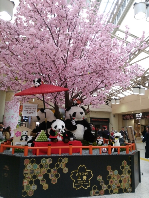 f:id:shimaaaada:20180404231926j:plain f:id:shimaaaada:20180404231926j:plain