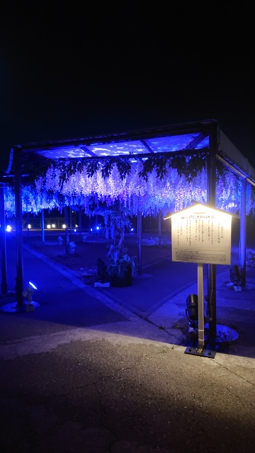 f:id:shimaaaada:20190321002929j:plain f:id:shimaaaada:20190321002929j:plain