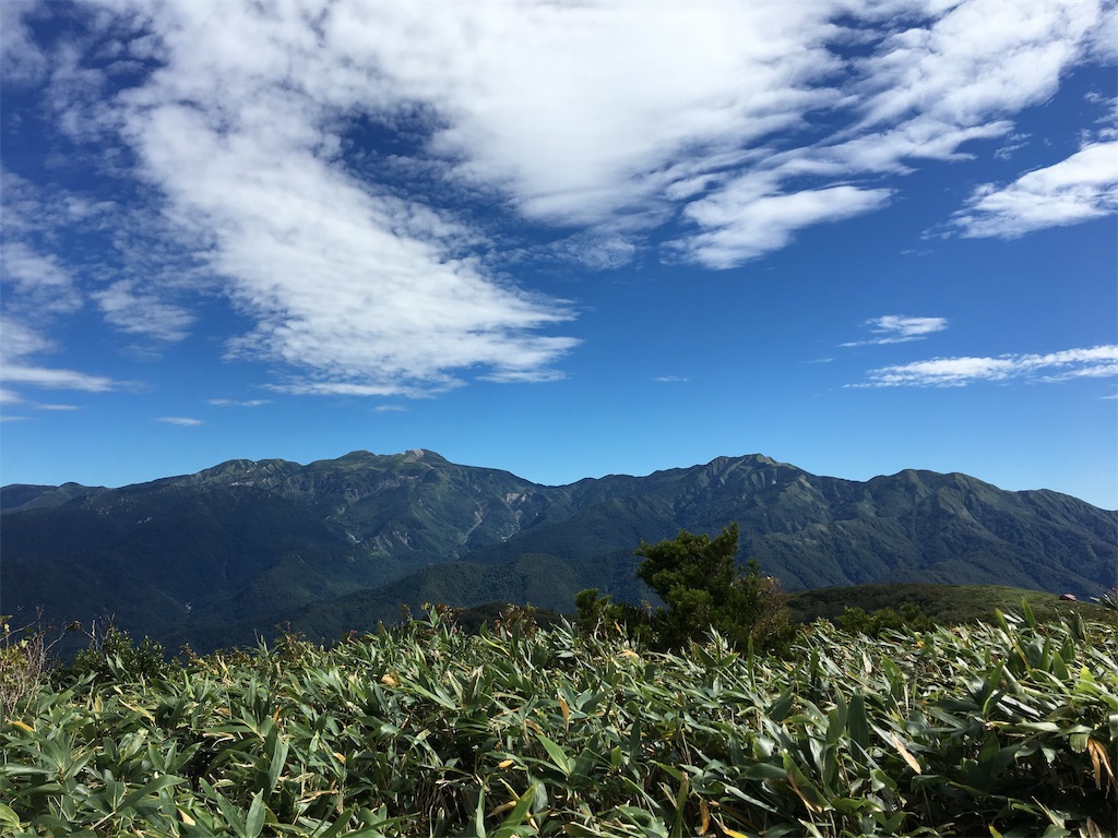 f:id:shimachann:20191012135025j:image