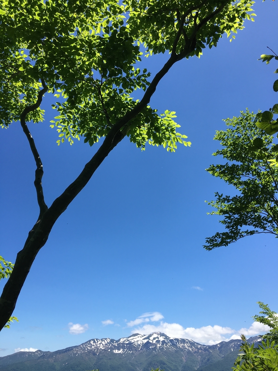 f:id:shimachann:20200613113344j:plain