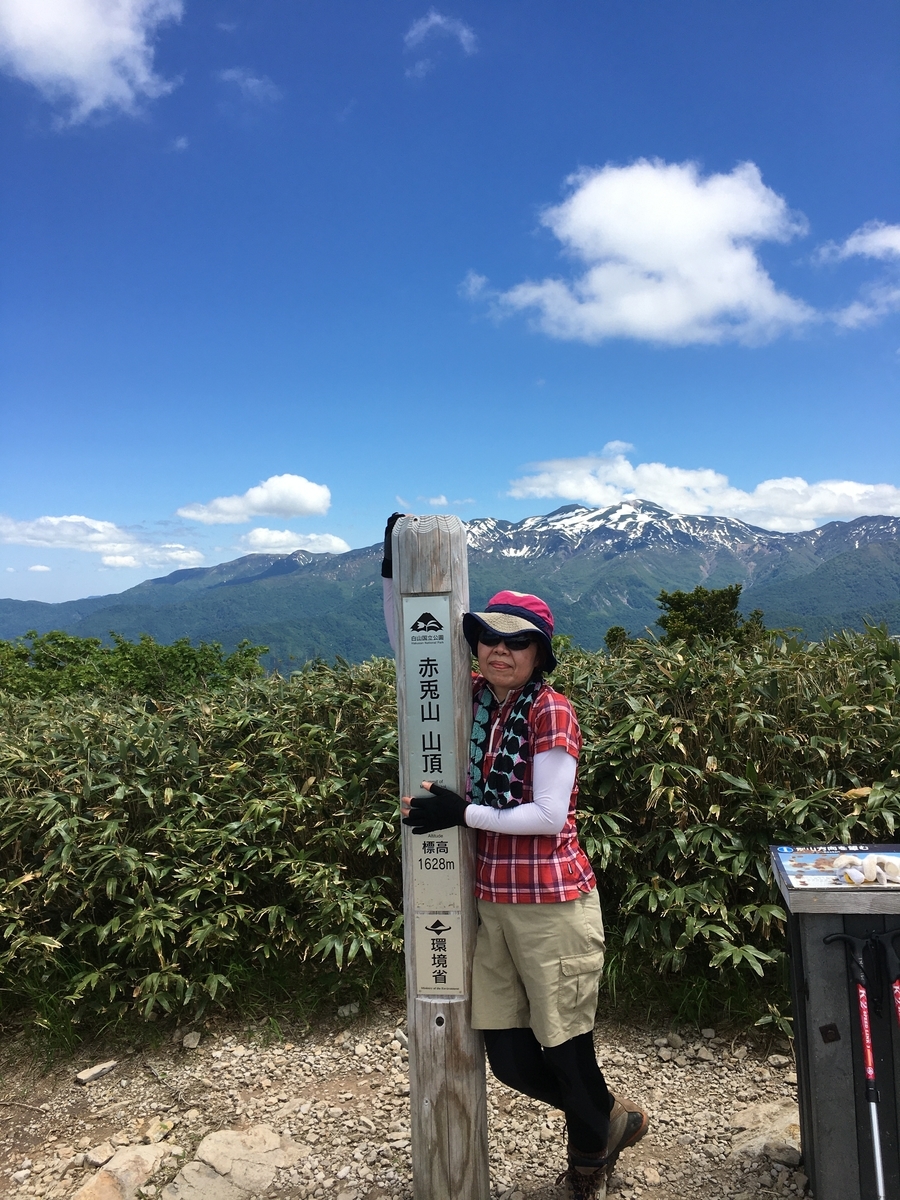 f:id:shimachann:20200613113622j:plain