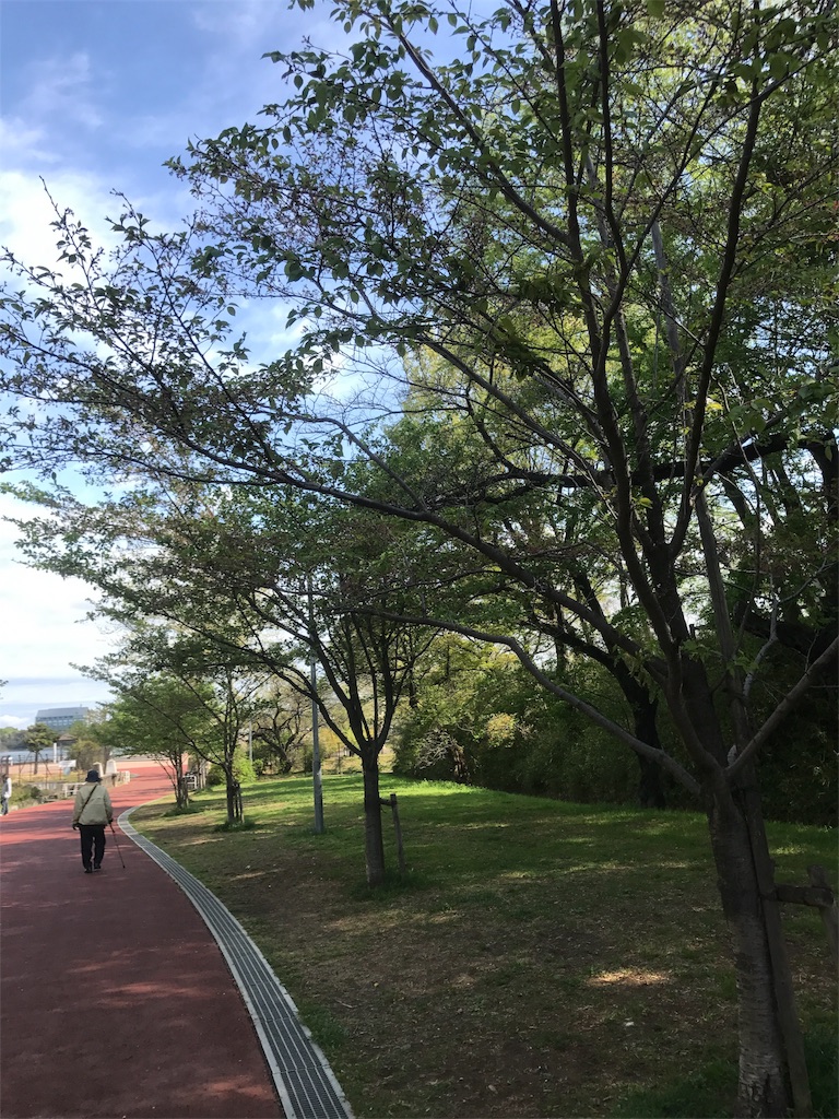 f:id:shimacyu:20180407222408j:image f:id:shimacyu:20180407222408j:image