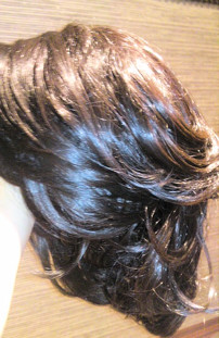 f:id:shimadora:20100519190859j:image