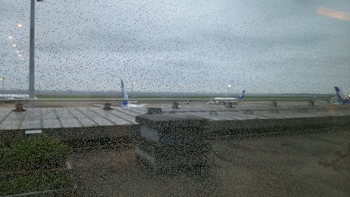 f:id:shimaebi:20191006203230j:plain