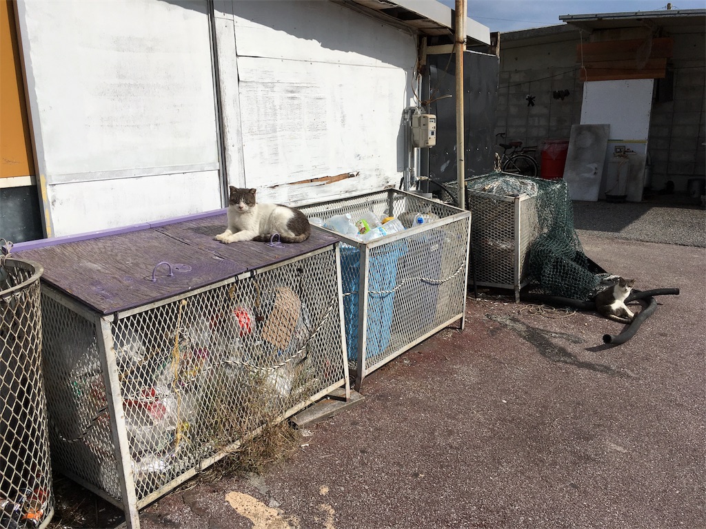 f:id:shimaken9801:20171226141634j:image