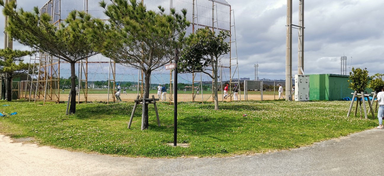 f:id:shimaken9801:20200331230444j:image