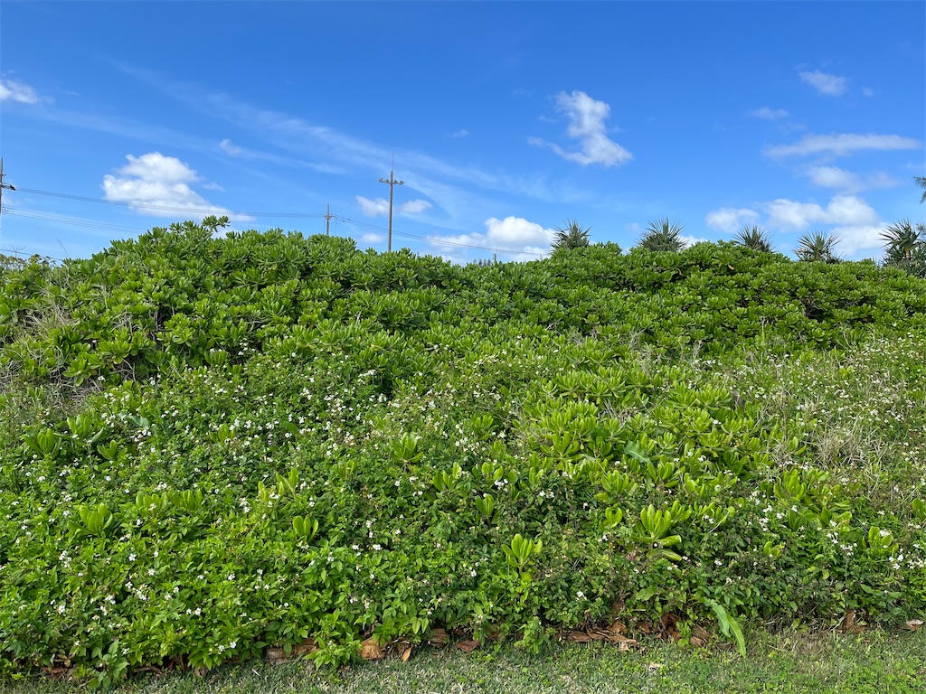 f:id:shimaken9801:20230225134830j:image f:id:shimaken9801:20230225134830j:image