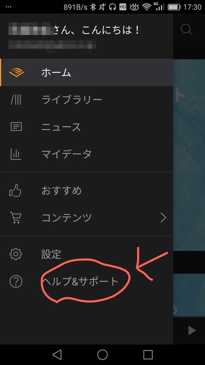 f:id:shimakumasan:20190328132251j:plain