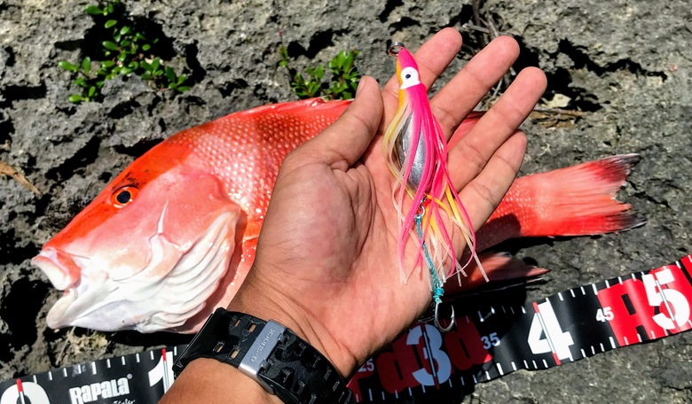 f:id:shimamayaa:20200711014803j:plain