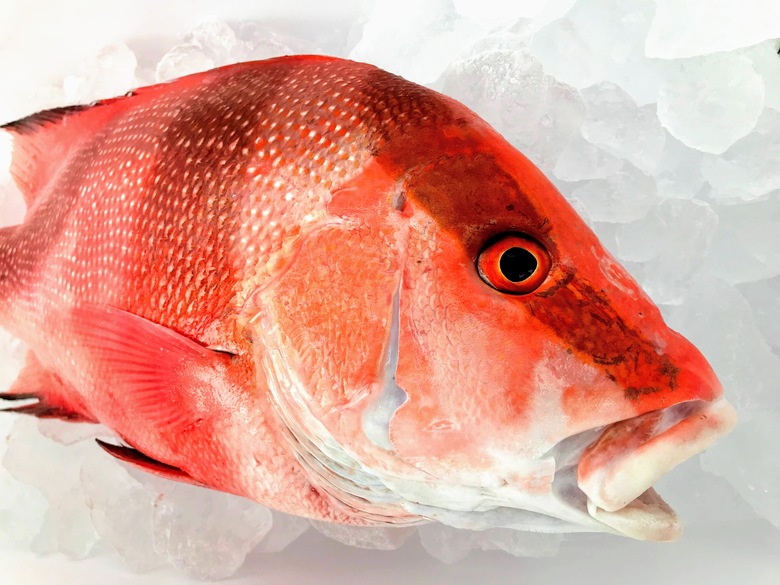 f:id:shimamayaa:20200711015558j:plain