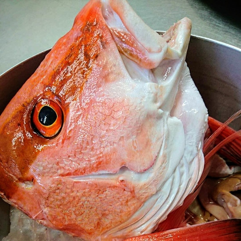 f:id:shimamayaa:20200711021906j:plain